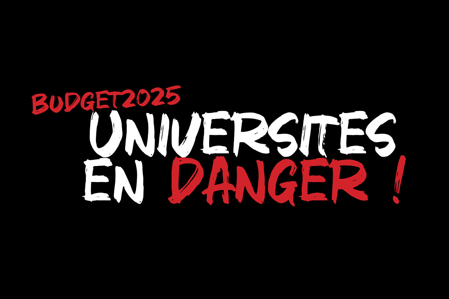 budget-2025-universite-danger